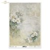 Kwiatowa Poczta, w bieli, niezapominajka, niezapominajki, kwiaty jabłoni, ogród, lato, kolaż, napisy, retro tło, Flower Post, in white, forget-me-not, forget-me-nots, apple blossoms, garden, summer, collage, captions, background, Flower 