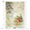fruits, light grapes, bunch of grapes, plum, plums, peaches, still life, watercolours, Früchte, Obst, helle Trauben, Weintrauben, Pflaume, Pfirsiche, Stillleben, Aquarelle, fruta, uva clara, racimo de uvas, ciruelas