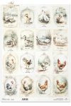 gęsie, kaczki, koguty, kury, kurczaki, wiejskie zwierzęta, wiosenne klimaty, rustykalny styl gansos, patos, gallos, gallinas, pollos, animales de campo, animales de primavera, rústico, estilo rústico geese, ducks, roosters, hens, chickens, country animals