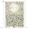 kwiaty flowers Blumen flores 