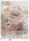 kwiaty polne, trawy, akwarela*field flowers, grasses, watercolour*Feldblumen, Gräser, Aquarell*flores de campo, hierbas, acuarela