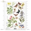 łąka, rośliny, motyl, motyle,  jaskółcze ziele, szałwia, dzika róża, kwiat, kwiaty, zioła, ziółka, R405
