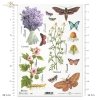 łąka, rośliny, motyl, motyle, rumianek, hibiskus, lawenda, kwiat, kwiaty, zioła, ziółka, R404