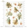 wiosna, ptak, ptaszek, ptaszki, kwiat, gałązka, gałązki, kwitnące, kwitnąca, spring, bird, flower, twig, flowering, Frühling, Vogel, Blume, Zweig, Blüte, primavera, pájaro, flor, ramita, floración 