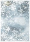 Conjunto Creativo RP065 - Winter Fun