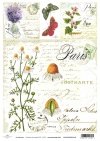 Papel Decoupage Soft S0001