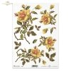 rose, roses, flower, flowers, bouquet, bouquets, R422
