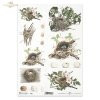 ptasie gniazdo, gniazdko, ptasie gniazda, jajka, jaja w gniazdach, R665, bird's nest, nest, eggs, Vogelnest, Nest, Vogelnester, Eier, Nesteier, nido de pájaros, nido, huevos, huevos nido,