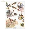 spring, flowers, birdhouse, bird, tits, birds