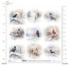 zimowe ptaki, kruki, wrony, kardynał, jemiołuszka, gil*winter birds, ravens, crows, cardinal, mistletoe, guillemot*Wintervögel, Raben, Krähen, Kardinal, Mistel, Trottellumme