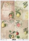 Papier decoupage Frucht*Бумага для декупажа*Fruta de decoupage de papel