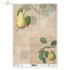 gruszka, gruszki, owoce, gałązka, liście, stare napisy, retro, ręczne pismo, stary papier, list, tło, pears, fruit, twig, leaves, old inscriptions, retro, handwriting, old paper, letter, background, Birnen, Frucht, Zweig, Blätter