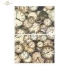 Papier morwowy decoupage FPA2042 seria Czary Alicji - zegary* Mulberry decoupage paper FPA2042 Alice's Magic series - clocks* Papel decoupage morera FPA2042 Serie Magia de Alicia - relojes