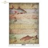 ryba, ryby, rybka, wędkarstwo, wędkowanie, łowienie ryb, gazeta, stare deski, pokład, drewno, retro, fish, fishing, newspaper, old boards, deck, wood, Fisch, Fische, Angeln, Zeitung, alte Bretter, Deck, Holz, pescado, pesca
