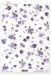 fiołki, akwarela, R098, flower, flowers, violets, violet, meadow, garden , violetas en la técnica de acuarelas, flores, prado, jardín, violeta, violetas, acuarela , Veilchen in Aquarelltechnik, Wiese, Garten 
