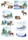 Papiery do scrapbookingu w zestawach - zimowe zwierzęta*Papers for scrapbooking in sets - winter animals