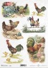 Easter, spring, retro, eggs, chickens, chicken, cock, roosters