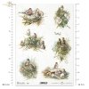 ptak, gniazdo, gniazdko, w gnieździe, R857, bird, nest, Vogel, Nest, pájaro, nido