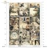 Alice's Magic - A tale of a world that has forgotten logic  - Czary Alicji - Opowieść o świecie, który zapomniał logiki * 