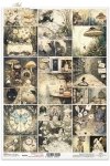 Alice's Magic - A tale of a world that has forgotten logic  - Czary Alicji - Opowieść o świecie, który zapomniał logiki * 