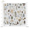 ususzone kwiatki, zioła, rośliny, suszki*dried flowers, herbs, plants, dries*Trockenblumen, Kräuter, Pflanzen, getrocknet*flores secas, hierbas, plantas, seca