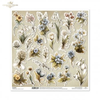 Бумага для скрапбукинга SCL649