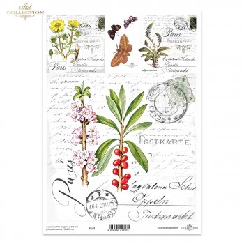 Folia przezroczysta (HS code 39261000) F145