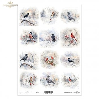 Folia przezroczysta (HS code 39261000) F173