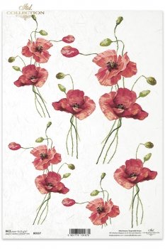 Reispapier für Serviettentechnik und Decoupage R0167