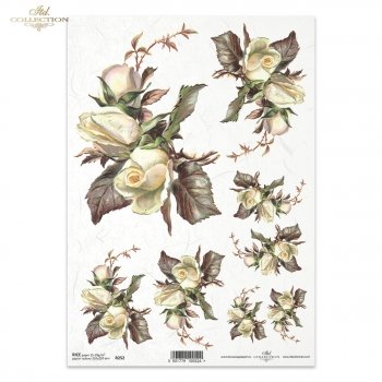 Rice paper R0252