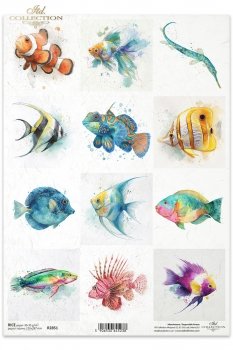 Rice paper R2851