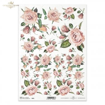 Rice paper R0892