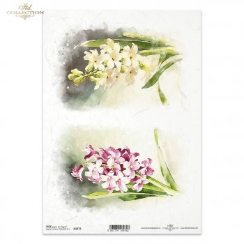Rice paper R1972