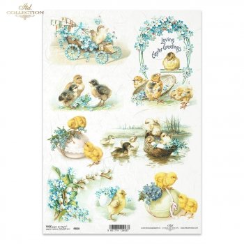 Rice paper R0828