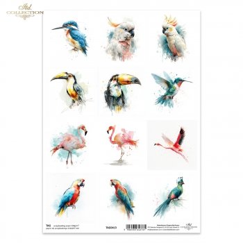 Tags, frames to scrapbooking TAG0413