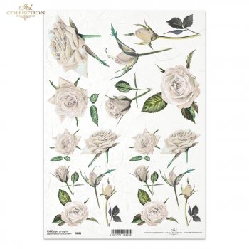 Rice paper R0889