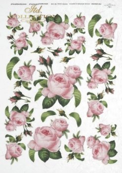 2 Sheets Italy Rice Paper Decoupage Large Bird And Roses RCP-FL-238 x2