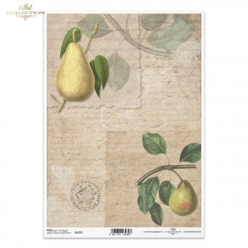Papel de arroz para decoupage R1252