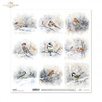 Papel para álbumes de recortes SL1628