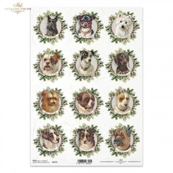 Papel de arroz para decoupage R2275