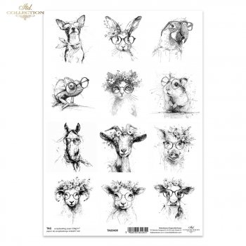 papel para scrapbooking TAG0400