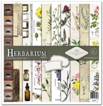 Papeles Scrapbooking SLS-035 ''Herbario''