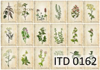 papel decoupage clásico D0162M