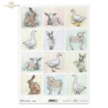 Papel de arroz para decoupage R1685