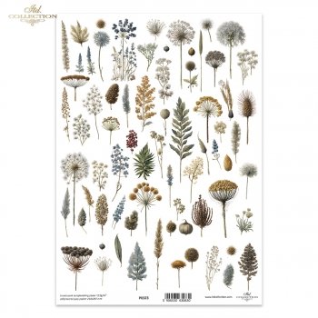 papel para scrapbooking - el papel translúcido P0323