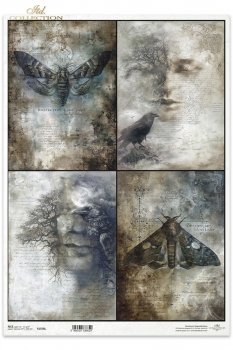 Papel de arroz decoupage A3 R1558L