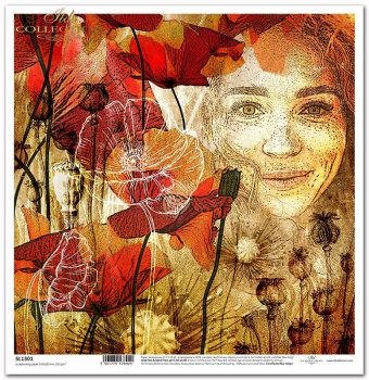 Papier do scrapbooking (HS code 48025890) SL1301