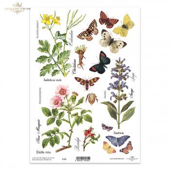Folia przezroczysta (HS code 39261000) F133
