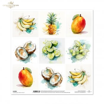 Papier do scrapbooking (HS code 48025890) SL2061