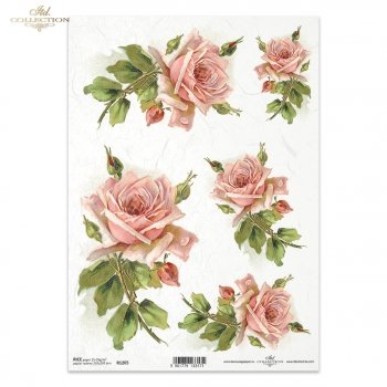Papier ryżowy (HS code 48021000) R1205